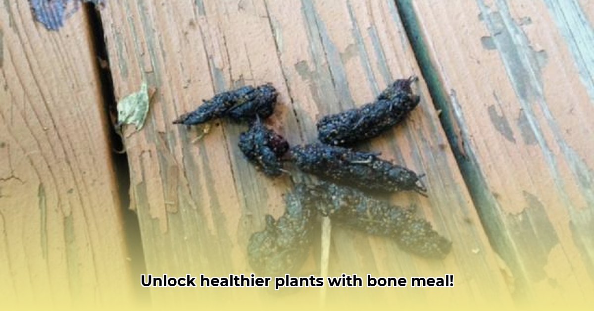 tractor-supply-bone-meal